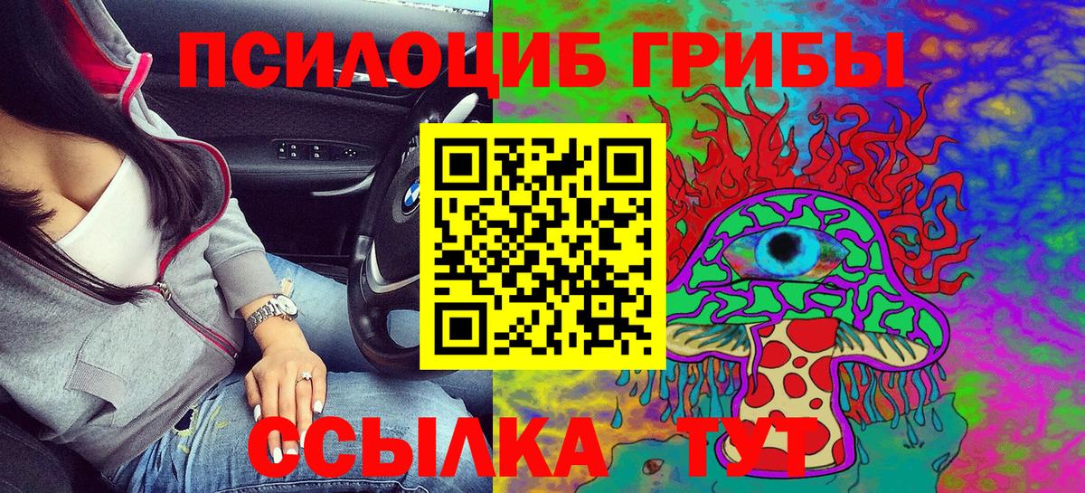 Гусиноозёрск  Псилоцибиновые грибы Psilocybine cubensis  Вход с VPN 
